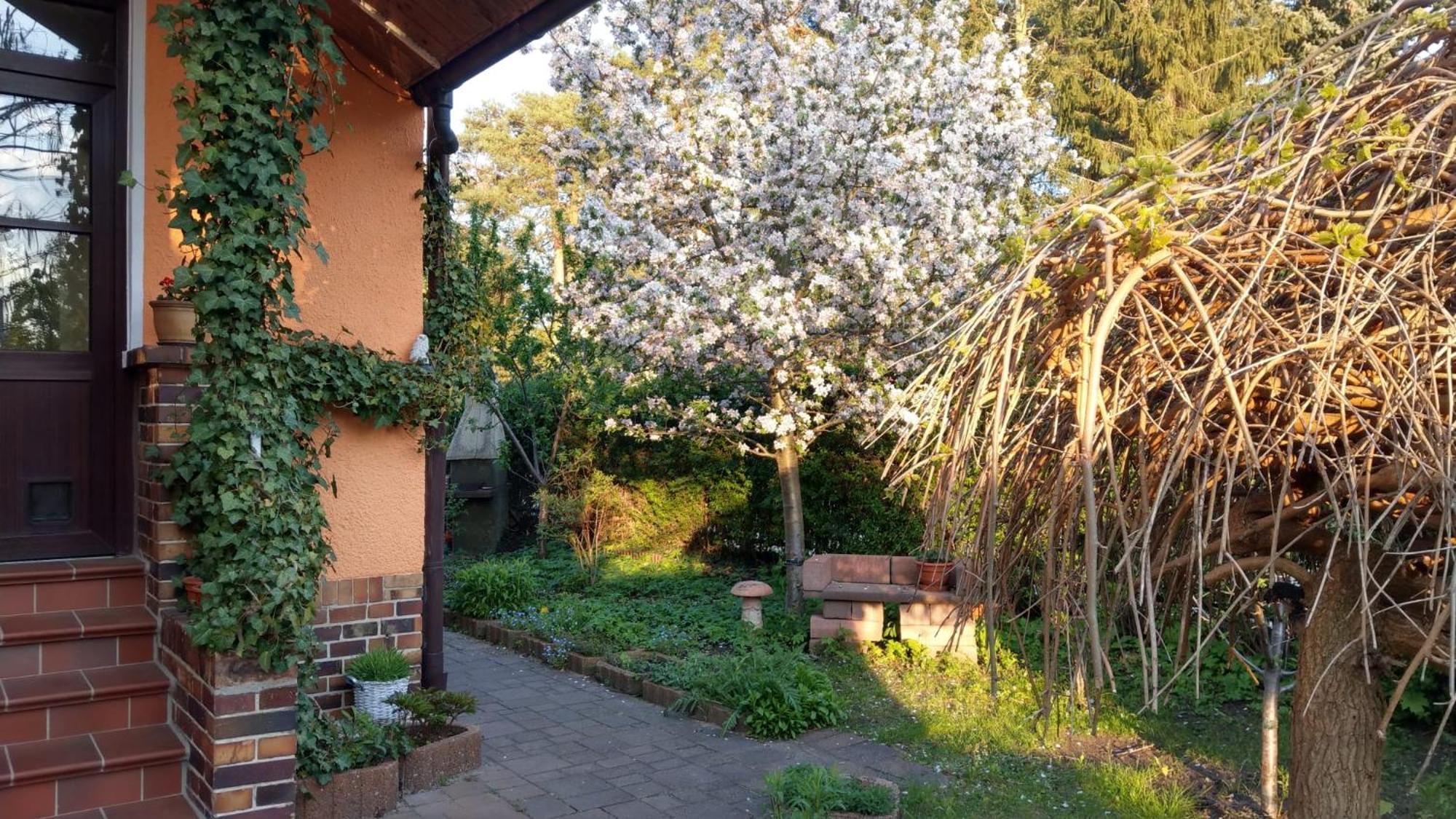 Ferienwohnung Luise, Gemuetlich, Freundlich Und Ganz Nah An Berlin Oranienburg Exterior foto
